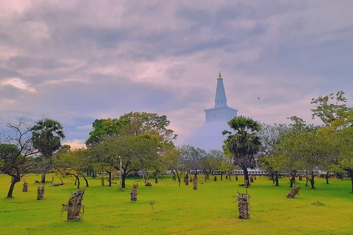 Anuradhapura Day Tour from Colombo: Mihintale, Sacred Bodhi Tree & Ancient Stupas photo 3