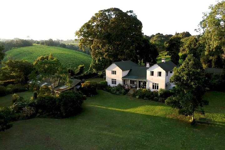 Kiambethu Tea Farm Tour from Nairobi: Tea Walk, Colobus Monkeys & Farm Lunch