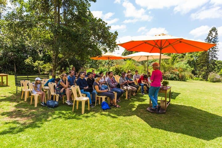 Kiambethu Tea Estate Tour & Farm-to-Table Lunch from Nairobi photo 5