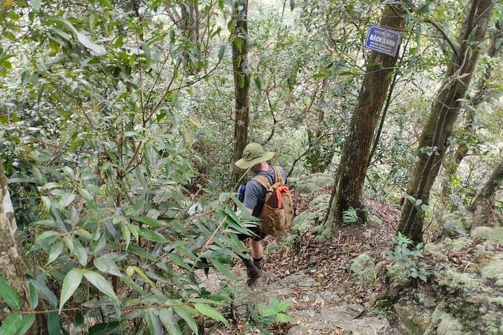 Ba Vi National Park: Full-Day Private Hike to King Peak, French Ruins & Uncle Ho Temple photo 3