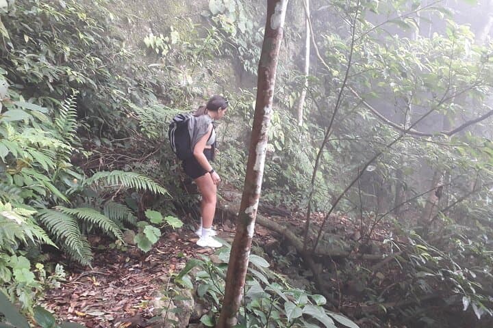 Ba Vi National Park: Full-Day Private Hike to King Peak, French Ruins & Uncle Ho Temple