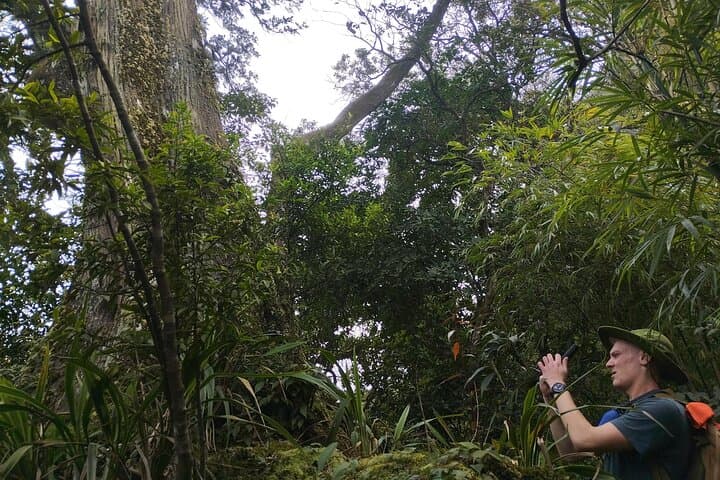 Ba Vi National Park: Full-Day Private Hike to King Peak, French Ruins & Uncle Ho Temple photo 6