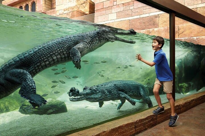 Singapore River Safari & Jurong Bird Park: River Wonders and Avian Encounters with Transfer