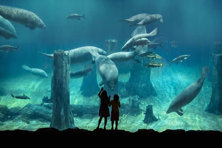 Singapore Zoo & River Wonders Day Ticket and Transfer — Complete Visitor Guide