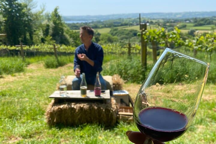 Somerset Valleys Wine and Cheese Tour with Michelin-Star Lunch photo 2