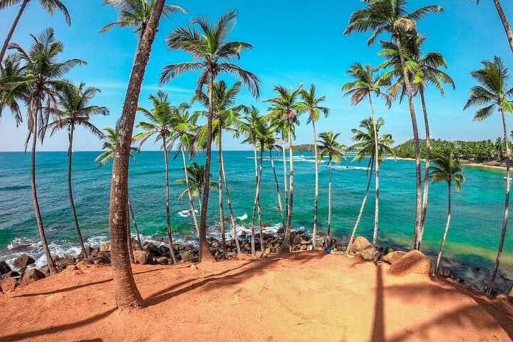 6-Day Private Driver Road Trip Through Sri Lanka: Kandy to Colombo at Your Own Pace