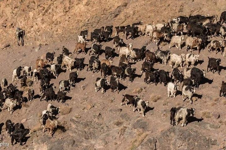 4-Day Berber Villages Trek from Marrakech — Atlas Mountains Cultural Hike photo 2