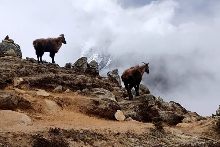 Everest Base Camp Trek 12 Days — Kala Patthar, Sherpa Villages & Khumbu Glacier photo 3