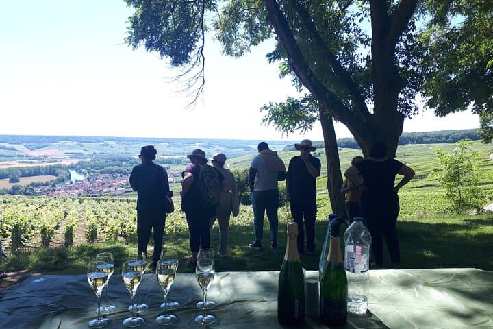Montagne de Reims champagne tasting and panoramic vineyard walk photo 4