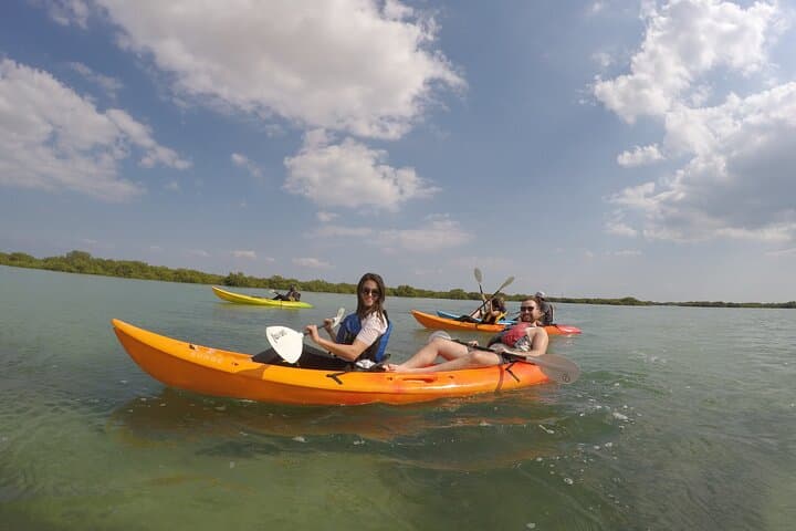 Kayak the Mangroves: Purple Island Guided Kayak Adventure from Doha photo 4