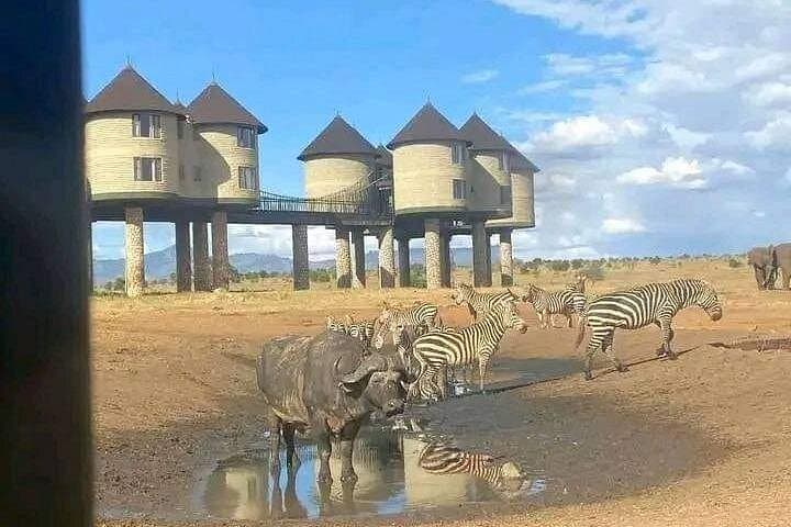 3-Day Safari: Tsavo East & Taita Hills Salt Lick Lodge from Diani photo 4