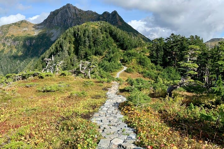 Guided Hikes in Sitka: Tongass Trails, Alpine Wildflowers & Brewery Finish photo 2