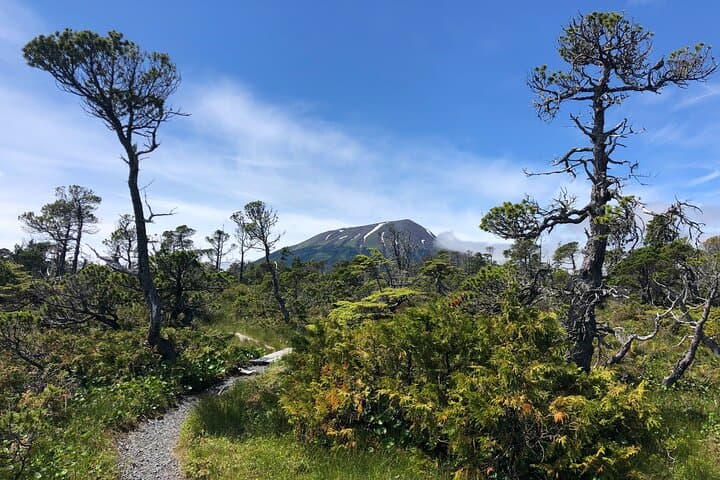 Guided Hikes in Sitka: Tongass Trails, Alpine Wildflowers & Brewery Finish photo 3