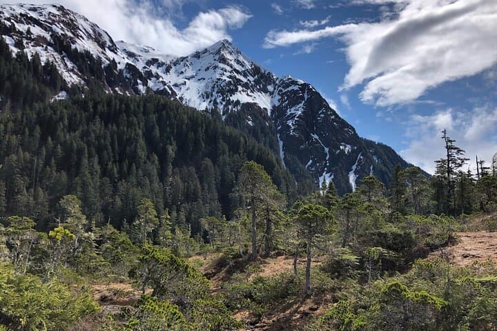 Guided Hikes in Sitka: Tongass Trails, Alpine Wildflowers & Brewery Finish photo 4