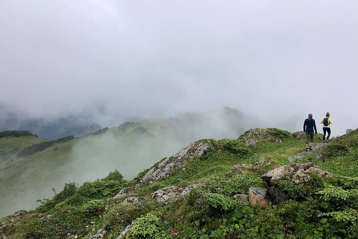 Guided Hikes in Sitka: Tongass Trails, Alpine Wildflowers & Brewery Finish photo 5