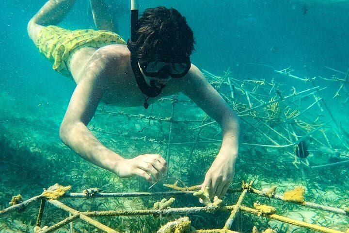 Punta Cana Snorkel Catamaran: Coral Nursery, Natural Pool & Floating Seafood Lunch photo 4