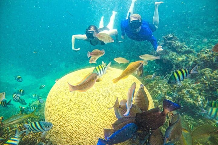 Punta Cana Catamaran Snorkel & Floating Kitchen: Coral Gardens to Natural Pools photo 3