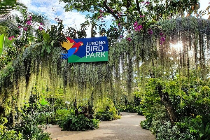 Singapore River Safari & Jurong Bird Park: River Wonders and Avian Encounters with Transfer photo 4