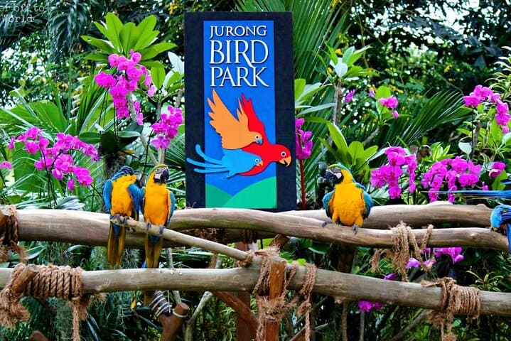 Singapore River Safari & Jurong Bird Park: River Wonders and Avian Encounters with Transfer photo 6