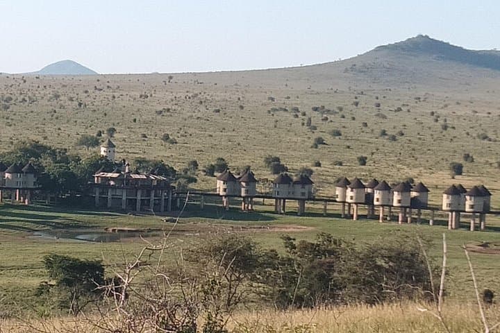 3-Day Taita Hills & Amboseli Safari: Saltlick Lodge Wildlife Experience photo 1