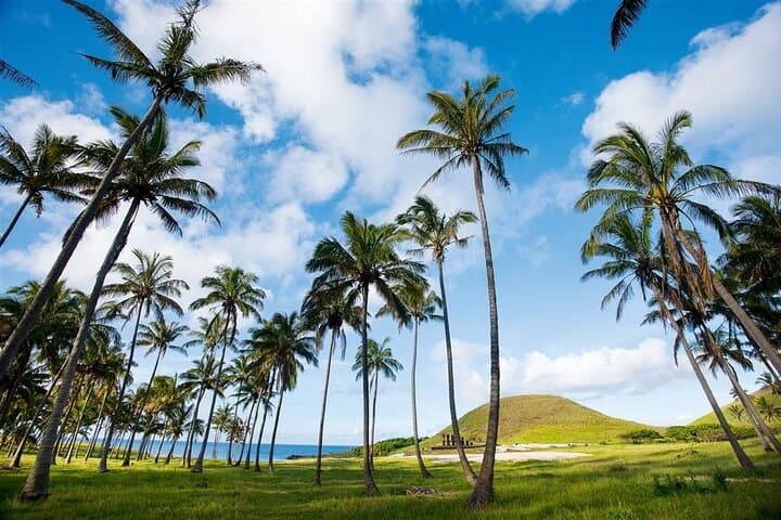 Discover the Untamed Wonders of Rapa Nui on a Full-Day Adventure photo 4