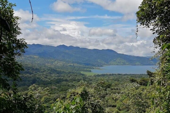 Arenal Volcano Hike: Walk the 1992 Lava Flows from La Fortuna photo 2