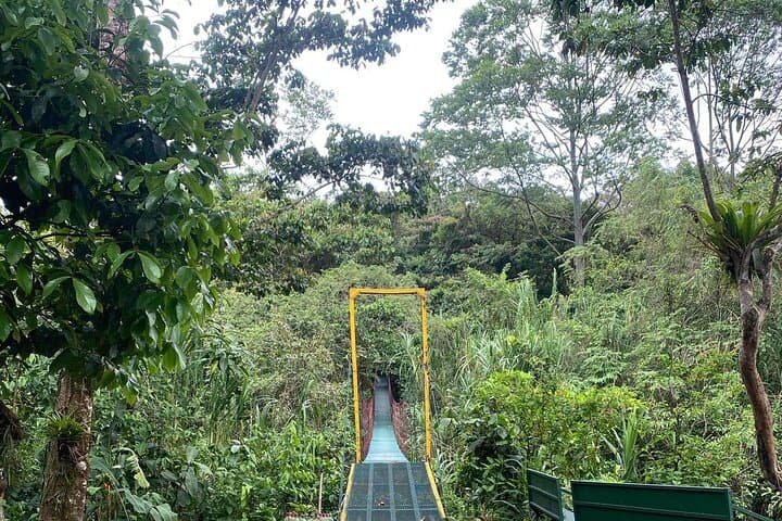 Arenal Volcano Hike: Walk the 1992 Lava Flows from La Fortuna photo 6