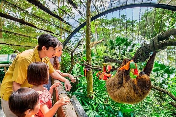 Singapore Zoo and Night Safari Day Tour with Tickets and Transfer photo 2