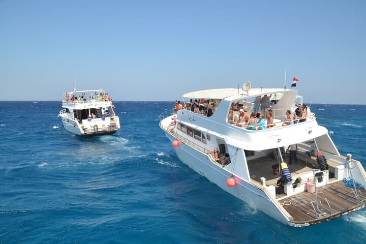 Half-Day Snorkeling & Dolphin Encounter in Hurghada's Red Sea