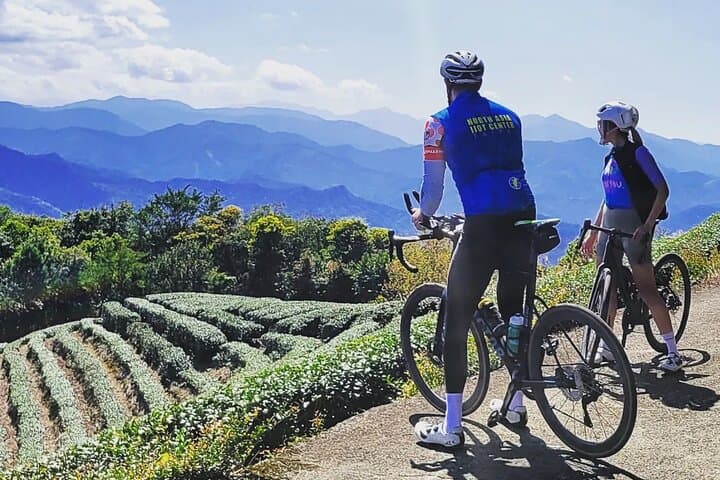 4-Hour Taipei Hill Cycling: Tea Plantations, Reservoir Views & Riverside Paths