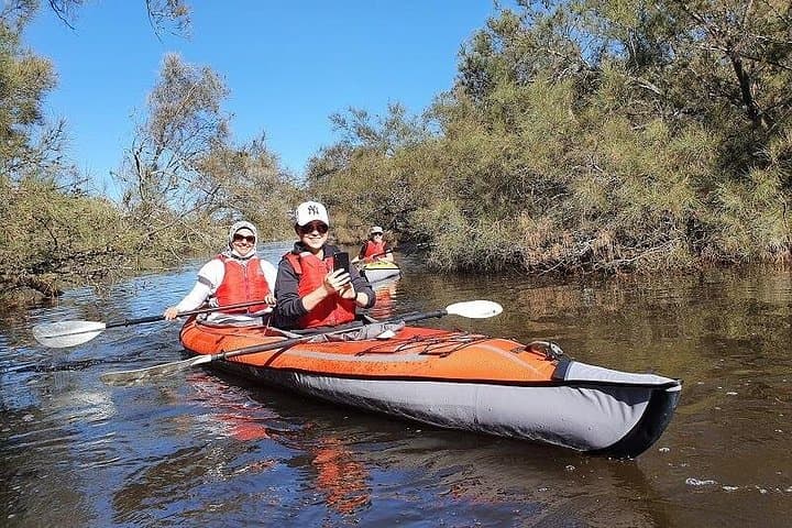 Paddling Perth: Guided Kayak Tour of the Canning River Wetlands photo 4