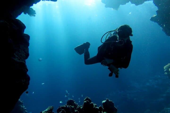 Hurghada Full-Day Boat Trip: Snorkel Giftun, Fish, See Dolphins & Buffet Lunch photo 6