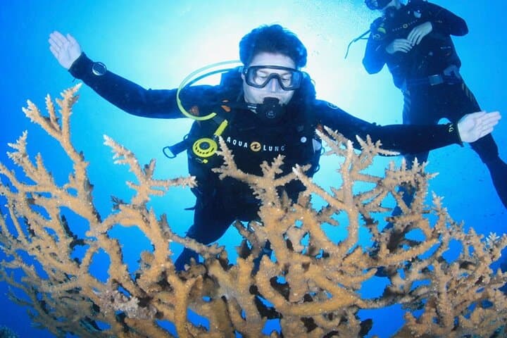 VIP Day Trip to Orange Bay, Hurghada — Scuba & Snorkel on the Red Sea photo 5