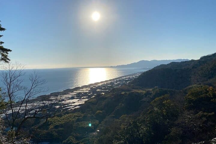 Classic Shizuoka Day Trip: Nihondaira, Kunozan & Miho-no-Matsubara with Mt. Fuji Views photo 6