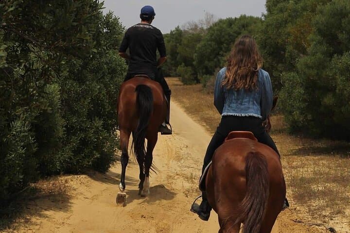 Horseback Riding with Private Transfer in Monastir: Beach & Countryside Ride photo 4