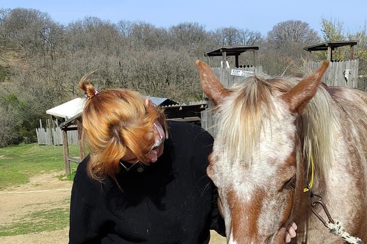 Half-Day Horseback Riding and Farm Experience Near Thessaloniki photo 5