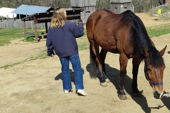 Half-Day Horseback Riding and Farm Experience Near Thessaloniki photo 6
