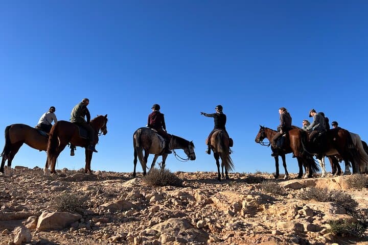 Horseback Riding with Private Transfer in Monastir: Beach & Countryside Ride photo 6