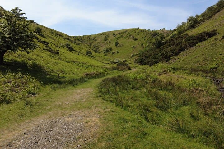Chiltern Hills Camping Experience for Japanese Travelers photo 4
