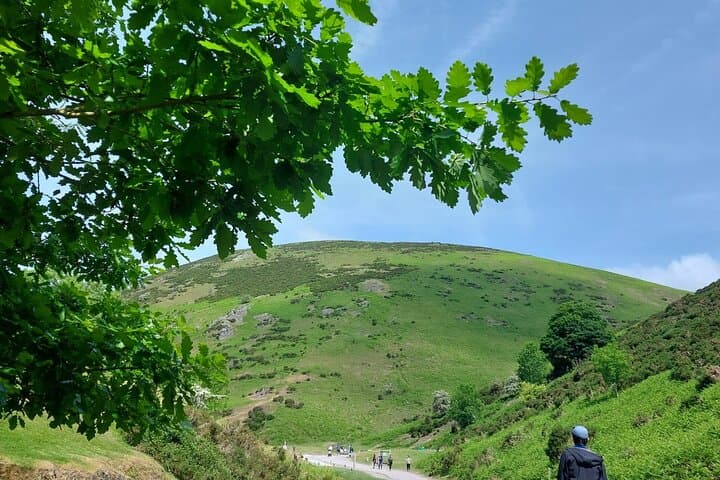 Chiltern Hills Camping Experience for Japanese Travelers photo 5