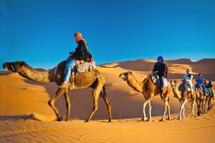 Sunrise Desert Safari in Dubai: Quad Biking, Camel Riding & Dune Bashing photo 6