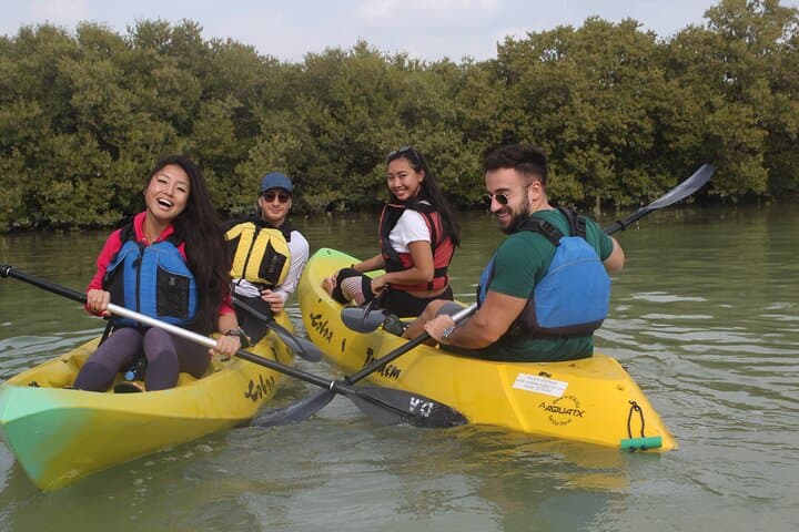 Kayak the Mangroves: Purple Island Guided Kayak Adventure from Doha