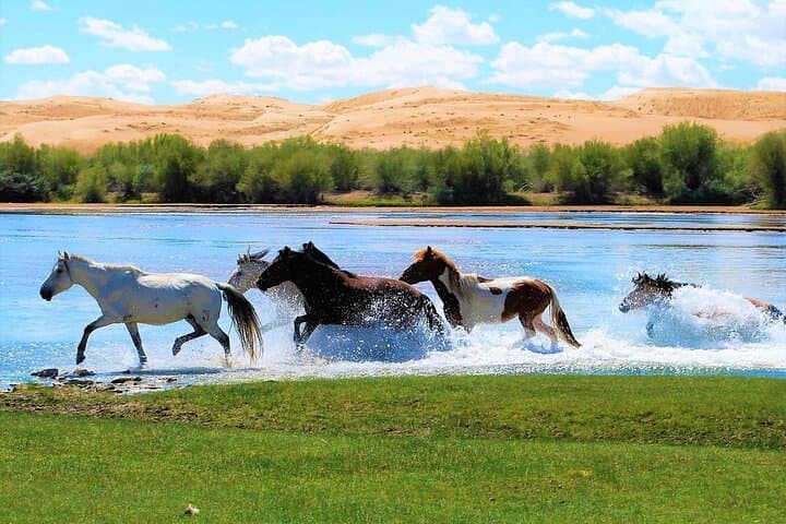 Semi-Gobi Sand Dunes & Kharkhorum Overnight: Camel Rides, Monasteries and Nomadic Life photo 6