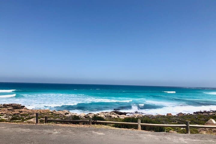 Private Tour to Cape Point & Penguins: Chapman's Peak Drive from Cape Town