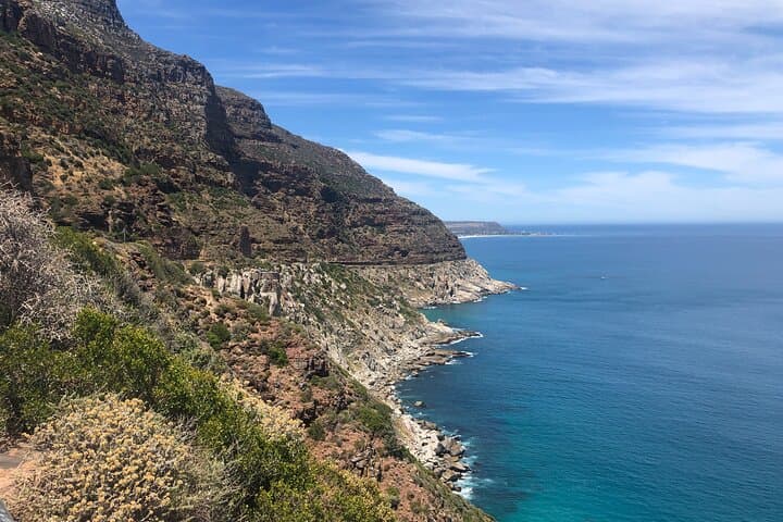 Private Tour to Cape Point & Penguins: Chapman's Peak Drive from Cape Town photo 3
