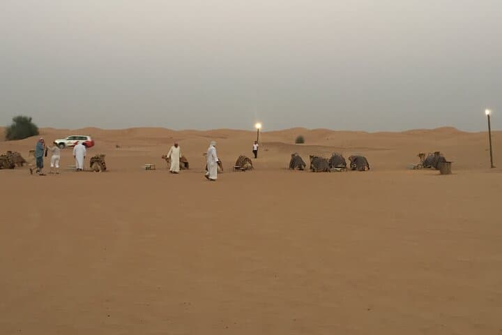 Evening Red Dunes Desert Safari in Dubai — Sunset BBQ & Live Entertainment photo 6