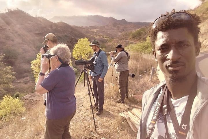 Cape Verde Birdwatching on Santiago: Dams, Wetlands & Desert Species photo 2