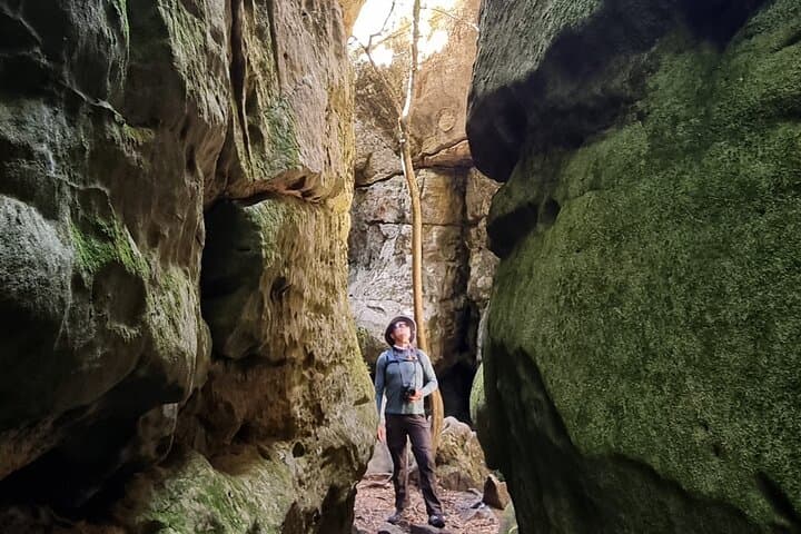 Table Mountain Off-the-Beaten-Track Guided Hike — Skeleton Gorge, Tranquillity Cracks & Judas Peak photo 6