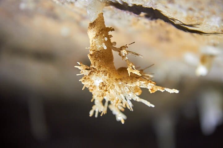 Explore Soprador do Carvalho: 4-Hour Underground Caving Experience near Coimbra photo 5