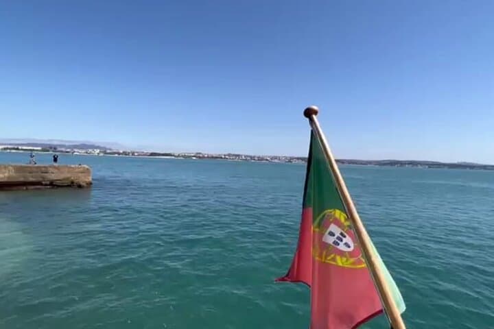 Lisbon Dolphin-Watching Cruise: Tagus to the Atlantic for Marine Encounters photo 4